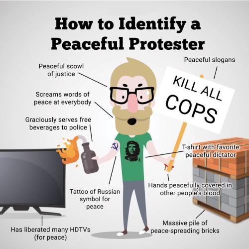 xephula_ab42a4cd85864fc9ea51898fbb3de6b4