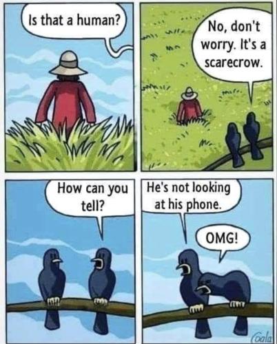 Screenshot_20240429_041604_Facebook