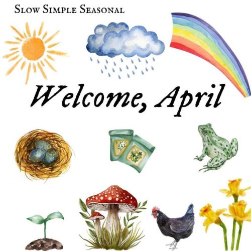 photo_2024-04-02_11-15-53