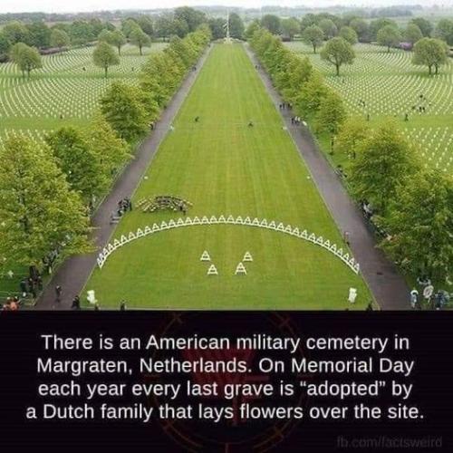 172224331_10221713833727428_7548730420127338190_n