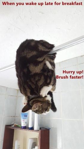 when-you-wake-up-late-for-breakfast