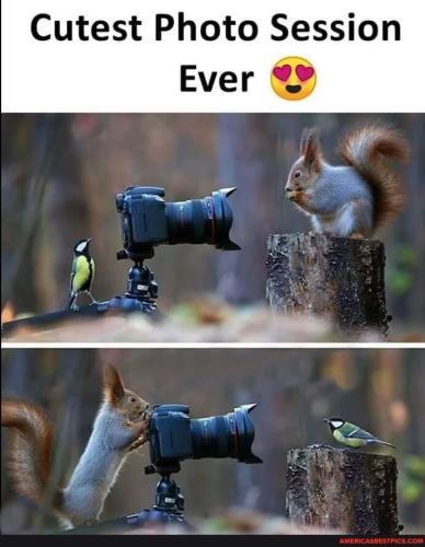 e2af67be51a5847795b1b2d94d1d6db86b69ca7393f7c7c0475be017ca62727a_1