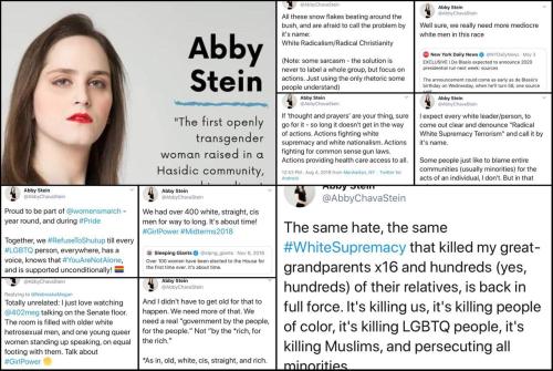 AbbyChavaStein.Abby_Stein.n.1