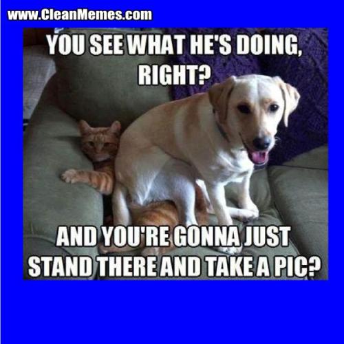 1b21c782db975a10dd11f3ae80a19702