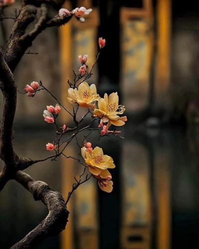 img-754a7b69