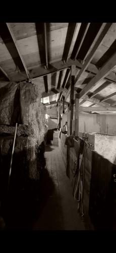 Screenshot_20240411_181900_Photos