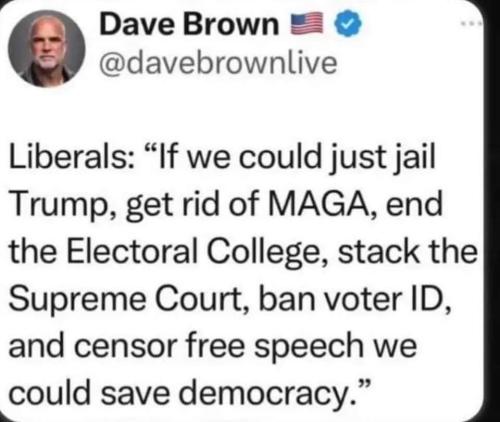 save democracy