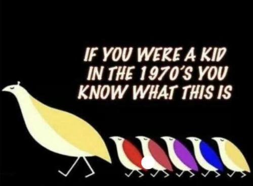 20240423_122106