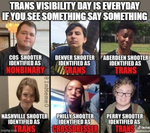 Trans Visibility Everyday 1
