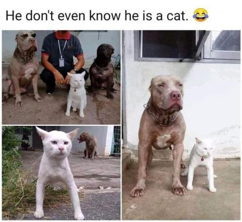he doesnt even know