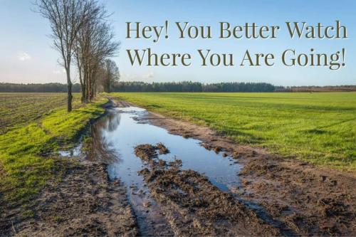 28be808b-7e6f-425e-a4e3-45f083fcb553