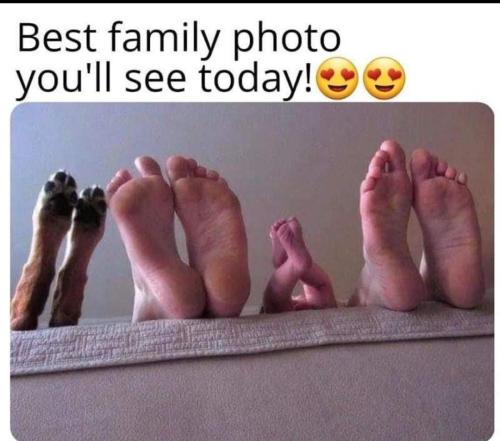 IMG_20240407_182952_001