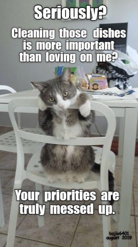 8d9c121949b9d43f072e930943fe9341