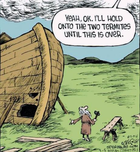 438806127_983586909805411_7625698086277603644_n