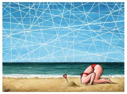 head in the sand