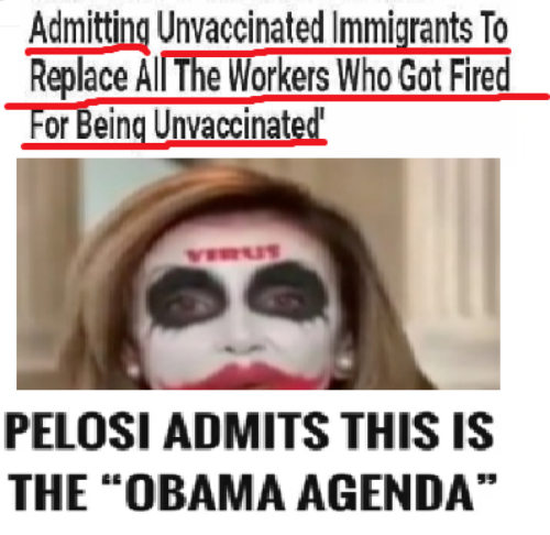 nancy illegal alien army