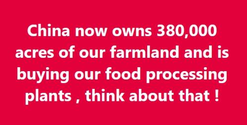 what china owns and is buying