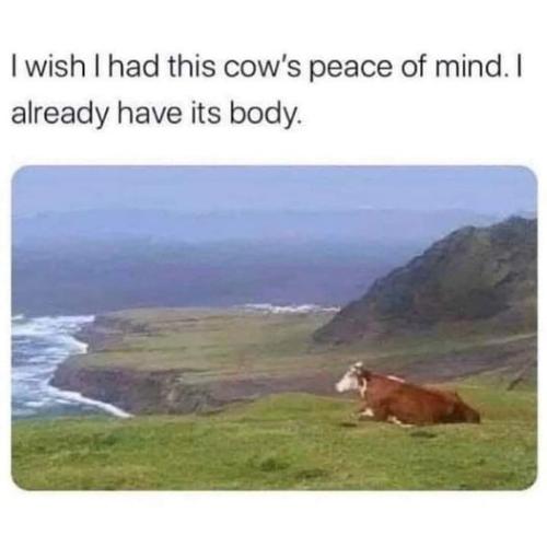 peacecow