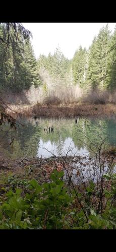 Screenshot_20240416_054657_Photos