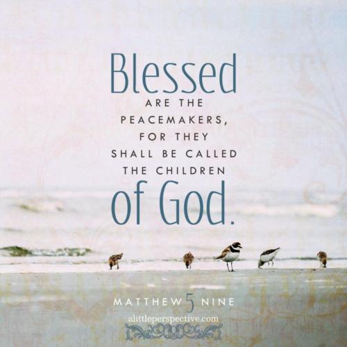 img-1edfdbc7