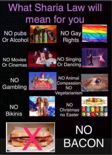 sharia law you're going to love