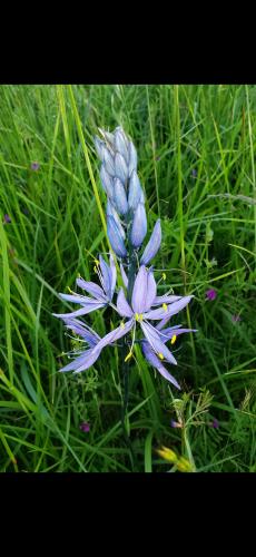 Screenshot_20240407_074345_Photos