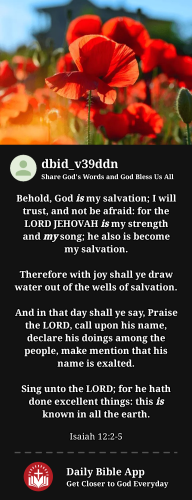 2024-04-151713167296804