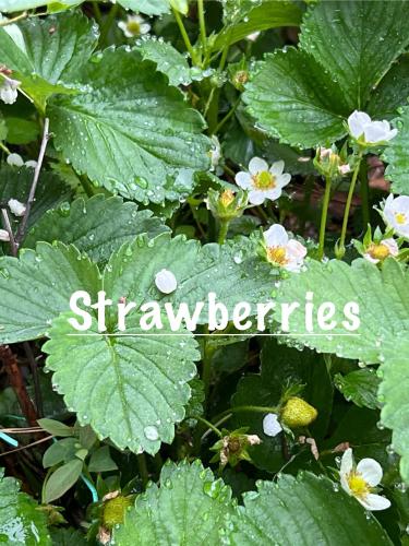 6E8B2FBC-5FEF-4C9F-A974-9C34240603DD