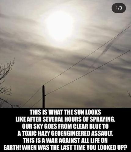 FB_IMG_1707133720328