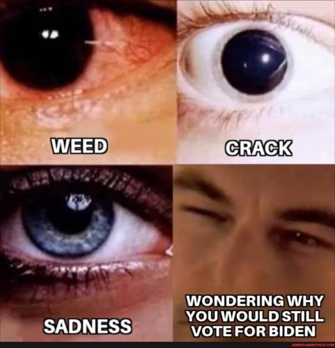 f882e0dab0208e9d02efdd2bdc9494e36912e9d538e56255a6b30e89a72d0a6e_1