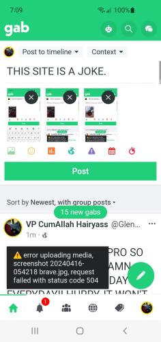 Screenshot_20240416-070942_Brave