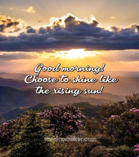 437515904_894806872447494_4617031967224121878_n