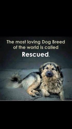 b2e1a250184d30b49779abf9d2a9ca3b