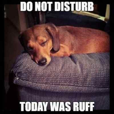 7a5b948a32b9c59bc401321d213431a9