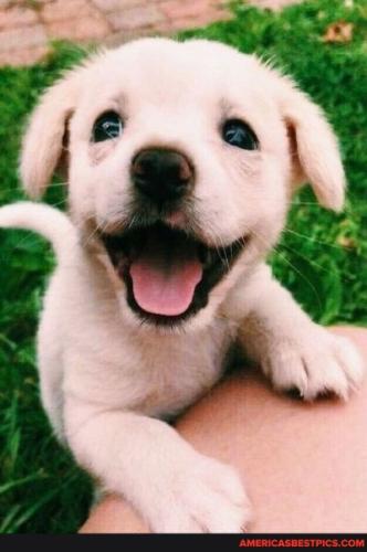 7b017a02a77772c3cd0112030292258392ee2e5d100a353fdc700a8ff4ac2c62_1