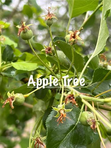 180AE225-3015-4A0D-9E15-D3949D07017F