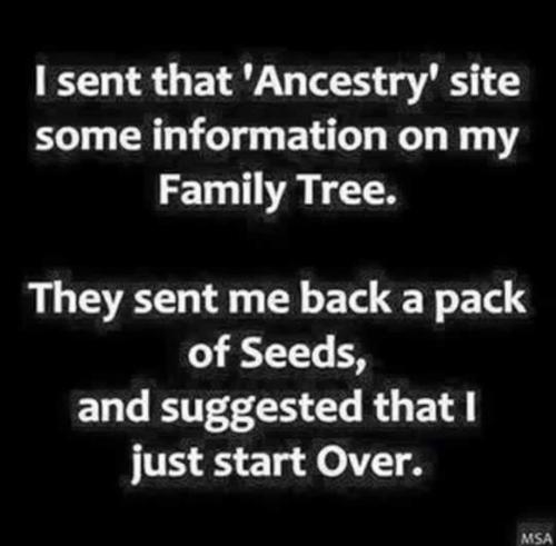 FB_IMG_1713839200230