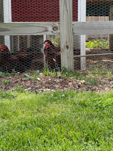 15BA246C-F721-4BBE-8AC5-0C1551E2E924