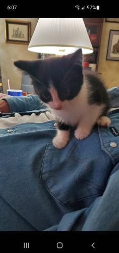 Screenshot_20240421-180741_Messages