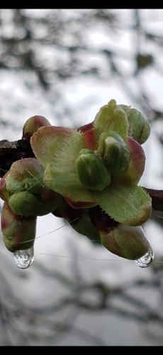 Screenshot_20240407_074305_Photos