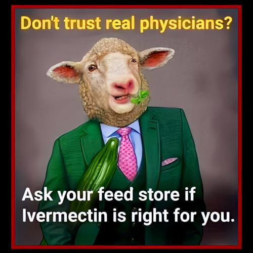 IMG_20240413_162346_421