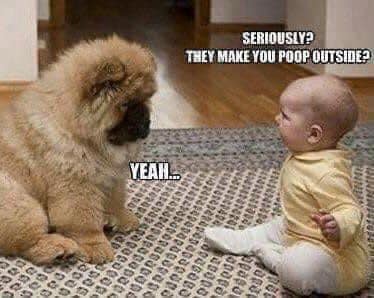 440853443_8109700092393564_8655265513219463669_n