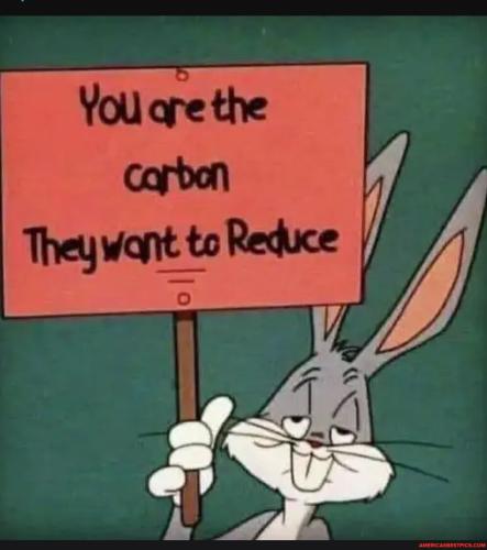 f4dbb0ed77e80bb8bcdcdb8847cb8210dc8481e823d376780fda09aee04bc5a5_1