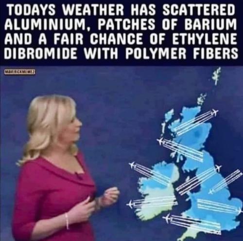 439273334_122144757050116361_8120600682408387524_n