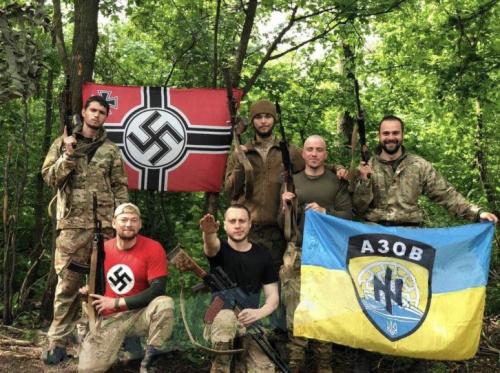 ukraine nazis with flags