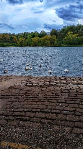 IMG-20240429-WA0003-01