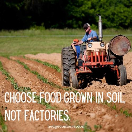 FB_IMG_1711985735897