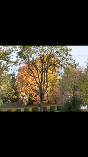 D501C50D-B8C6-469B-8F90-9703AE4D06EA