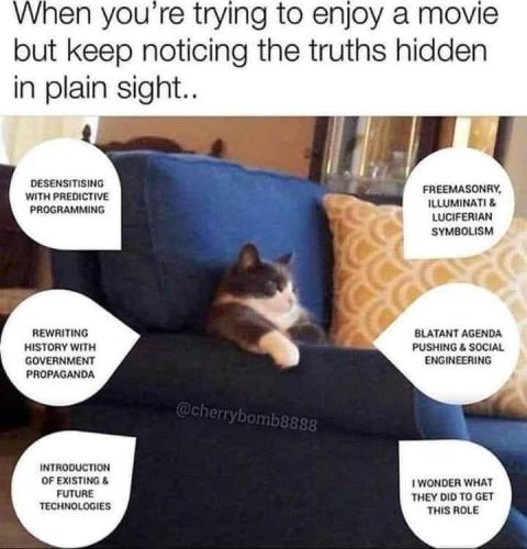 IMG_20240430_044207_689