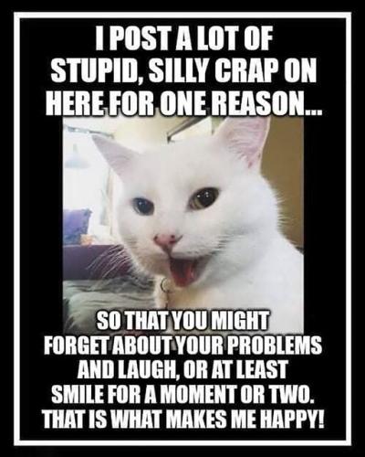 340746993_236048025610038_8195576392812595862_n